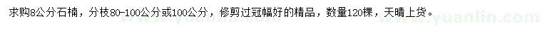 求購8公分石楠