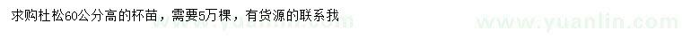 求購(gòu)高60公分杜松