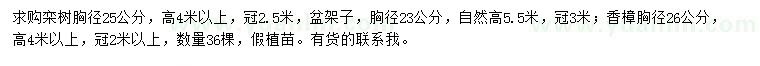 求購(gòu)欒樹、盆架子、香樟