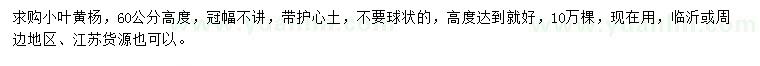 求購高60公分小葉黃楊
