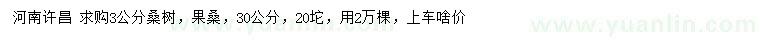 求購3公分桑樹