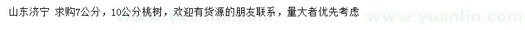 求購7、10公分桃樹
