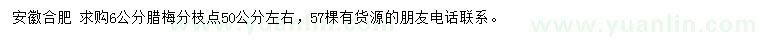 求購6公分臘梅