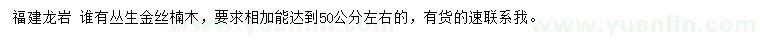 求購足50公分左右叢生金絲楠木