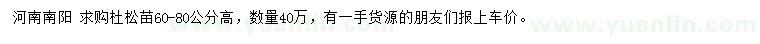 求購高60-80公分杜松苗