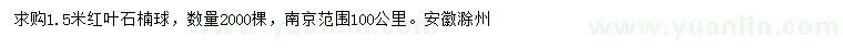 求購1.5米紅葉石楠球
