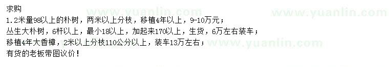 求購樸樹、叢生樸樹、移栽香樟