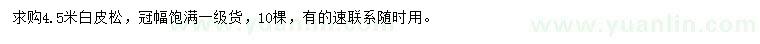 求購4.5米白皮松