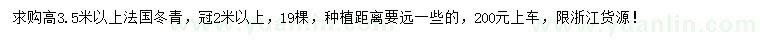 求購高3.5米以上法國冬青