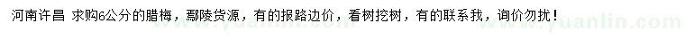 求購6公分臘梅