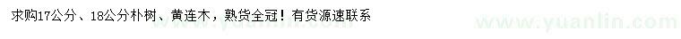 求購(gòu)17、18公分樸樹(shù)、黃連木
