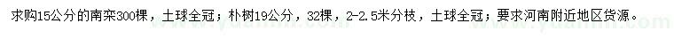 求購(gòu)15公分南欒、19公分樸樹(shù)