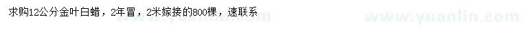 求購12公分金葉白蠟