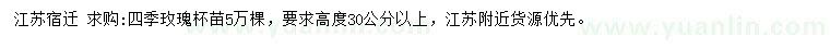 求購(gòu)高30公分以上四季玫瑰