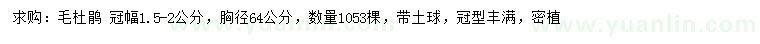 求購冠幅1.5-2公分毛杜鵑 