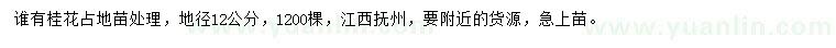 求購地徑12公分桂花