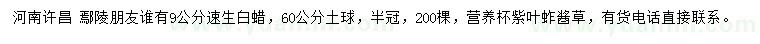 求購9公分速生白蠟
