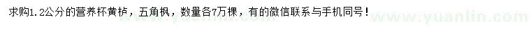 求購1.2公分黃櫨、五角楓
