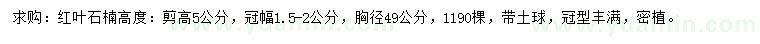 求購冠幅1.5-2公分紅葉石楠