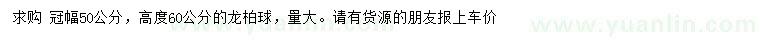 求購(gòu)冠幅50公分龍柏球