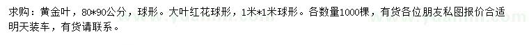 求購80*90公分黃金葉、1*1米大葉紅花球