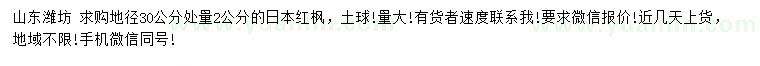 求購30量2公分日本紅楓