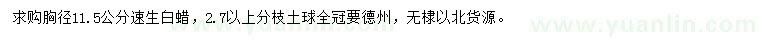 求購胸徑11.5公分速生白蠟