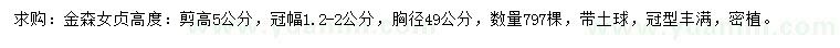 求購(gòu)冠幅1.5-2公分金森女貞
