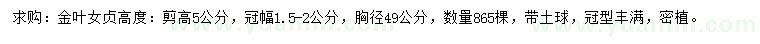 求購冠幅1.5-2公分金葉女貞