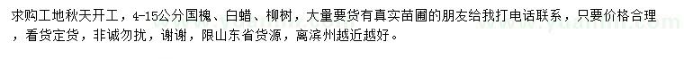 求購國(guó)槐、白蠟、柳樹