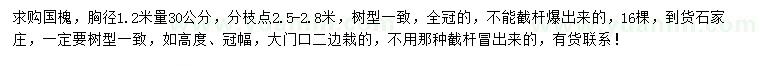 求購1.2米量30公分國槐