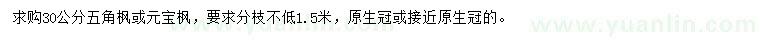 求購(gòu)30公分五角楓、元寶楓