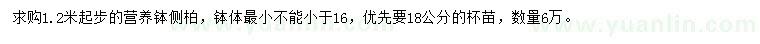 求購1.2米以上側(cè)柏