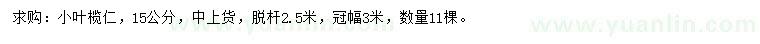 求購15公分小葉欖仁