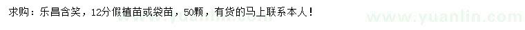 求購12公分樂昌含笑