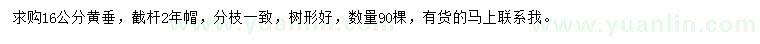 求購16公分黃垂