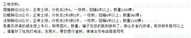 求購(gòu)國(guó)槐、白蠟、法桐