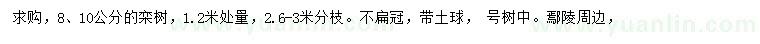 求購8、10公分欒樹