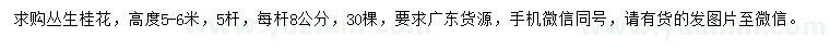 求購高5-6米叢生桂花