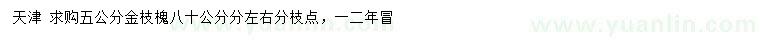 求購5公分金枝槐