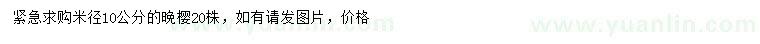 求購米徑10公分晚櫻