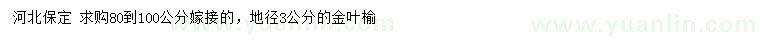 求購(gòu)地徑3公分金葉榆