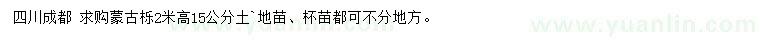 求購2米高蒙古櫟