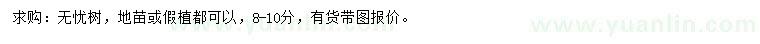 求購(gòu)8-10分無憂樹
