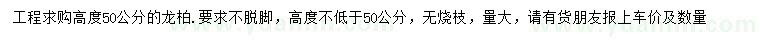 求購高50公分龍柏