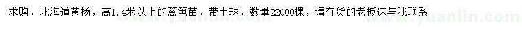 求購高1.4米以上北海道黃楊