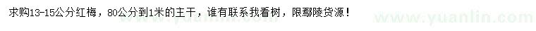 求購(gòu)13-15公分紅梅
