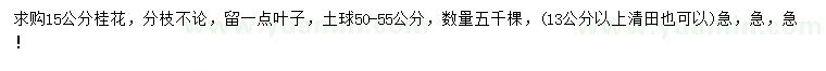 求購15公分桂花