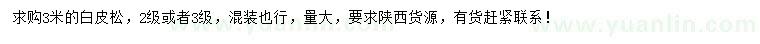 求購3米白皮松
