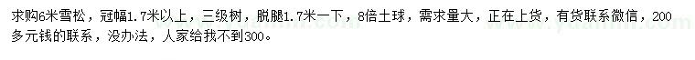 求購(gòu)6米雪松
